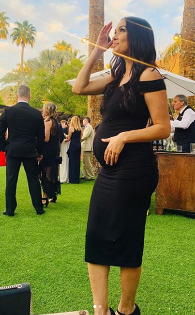 Brie Bella, Instagram, March 2020